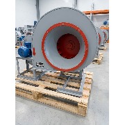 news205-foto1.jpg